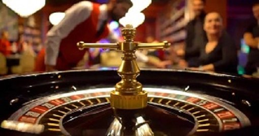ম্যাচ আগ্রহ ও বেট তথ্যের ভিজ্যুয়াল
